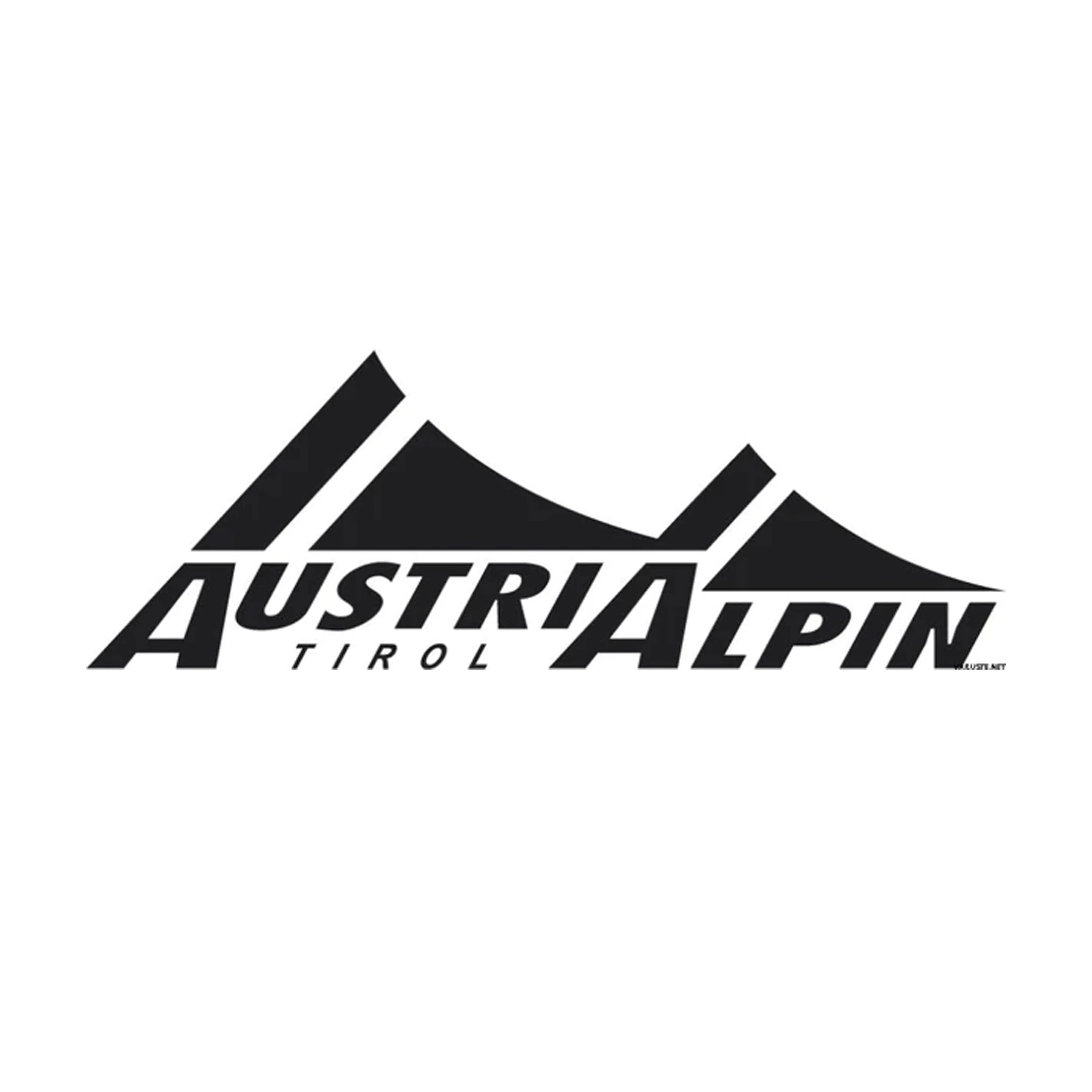 Tether Luggage Strap AustriAlpin™ COBRA® Buckle - Image 2